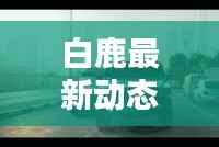 艰苦朴素 第2页