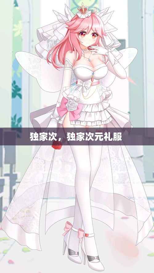 独家次,独家次元礼服
