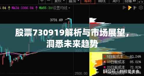 股票730919解析与市场展望,洞悉未来趋势