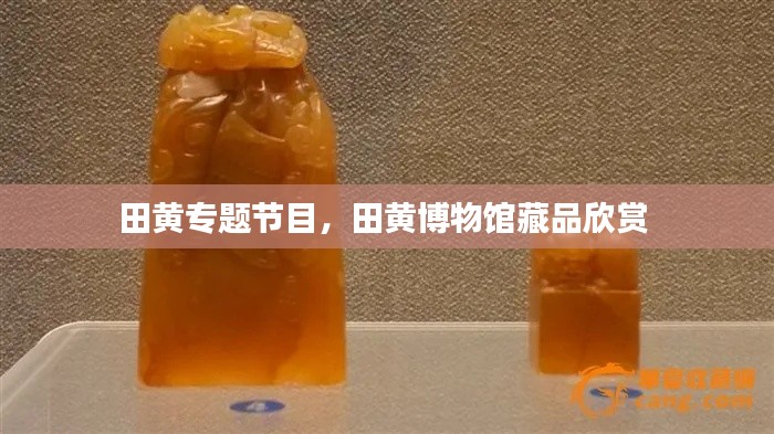 政策法规 第96页