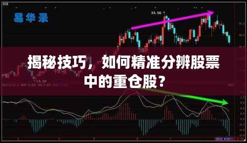 揭秘技巧,如何精准分辨股票中的重仓股?