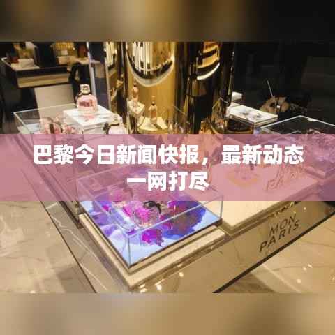 巴黎今日新闻快报，最新动态一网打尽