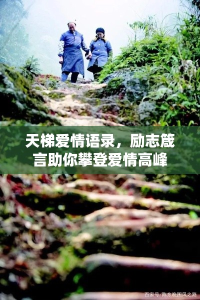 天梯爱情语录,励志箴言助你攀登爱情高峰