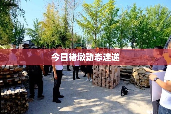 今日褚墩动态速递