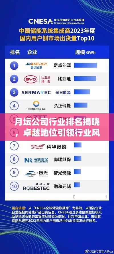 月坛公司行业排名揭晓，卓越地位引领行业风向标