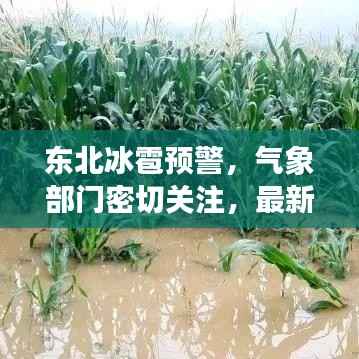 东北冰雹预警,气象部门密切关注,最新预测提醒防范灾害
