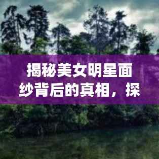 揭秘美女明星面纱背后的真相,探寻神秘禁区之旅