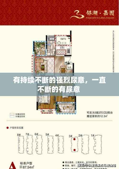 有持续不断的强烈尿意,一直不断的有尿意