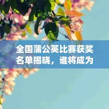 全国蒲公英比赛获奖名单揭晓,谁将成为明日之星?