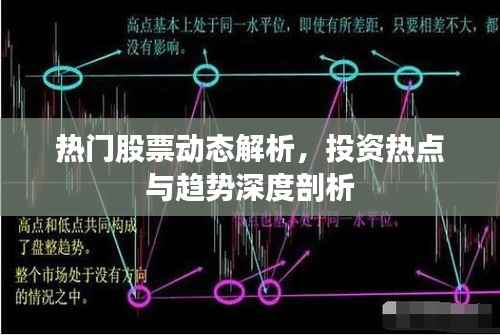 热门股票动态解析,投资热点与趋势深度剖析