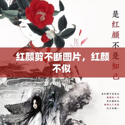 红颜剪不断图片，红颜不似 