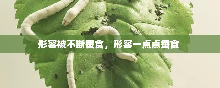 形容被不断蚕食,形容一点点蚕食