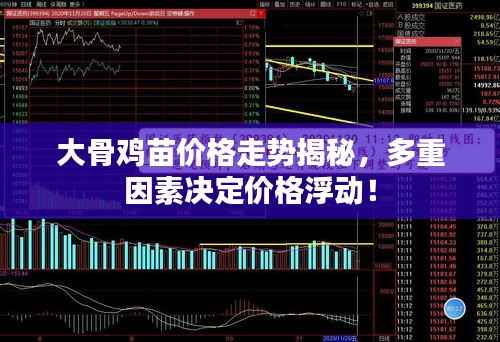大骨鸡苗价格走势揭秘，多重因素决定价格浮动！