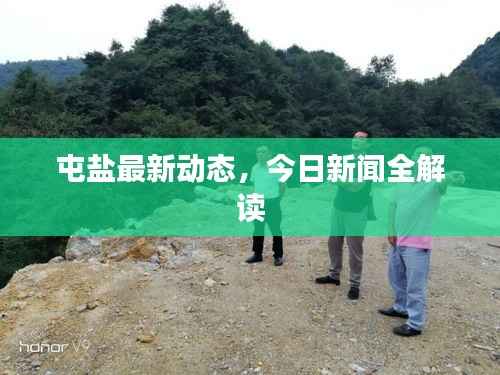 屯盐最新动态，今日新闻全解读