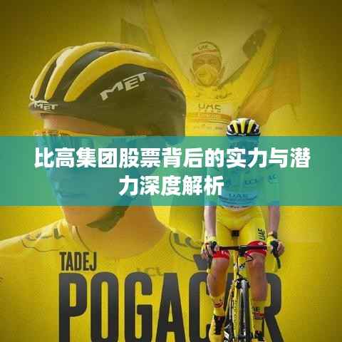 比高集团股票背后的实力与潜力深度解析